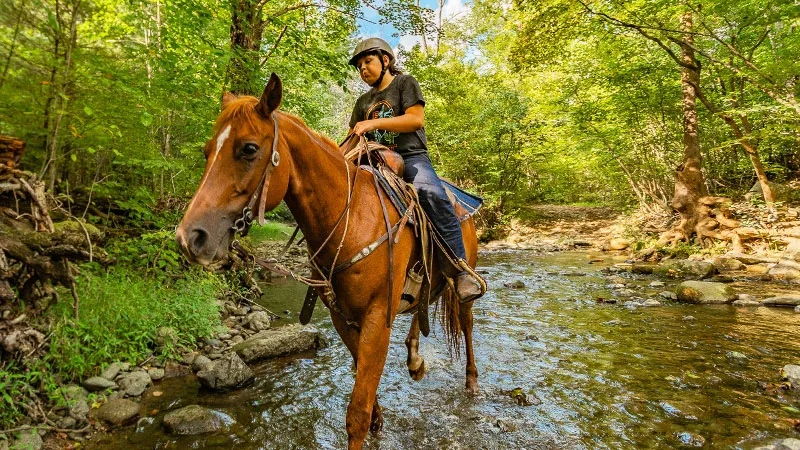 Beavers Bend Depot and Trail Rides